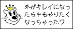 外がキレイになったから中もやりたくなっちゃったワ